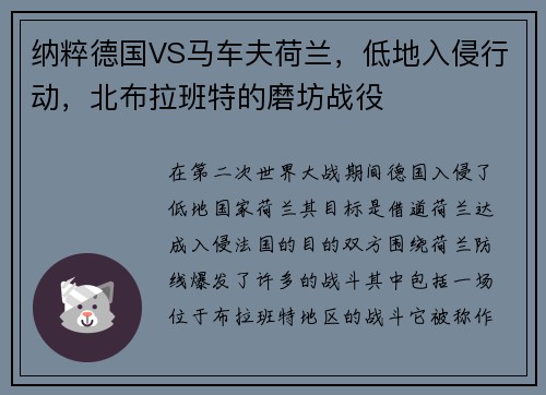 纳粹德国VS马车夫荷兰，低地入侵行动，北布拉班特的磨坊战役